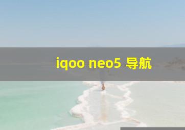 iqoo neo5 导航